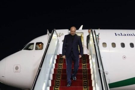 رئیس مجلس و هیئت پارلمانی همراه وارد تهران شدند