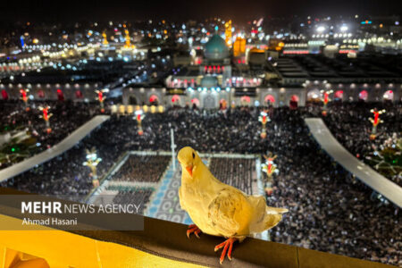 مشهد؛ تلاقی اشک و ارادت در شب شهادت امام رضا(ع)