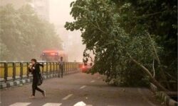 وزش باد شدید در تهران