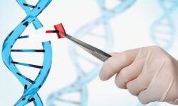 پزشکی فراتر از دانش و فنون درمانی؛ نگاهی به ابعاد معرفتی و اجتماعی طب