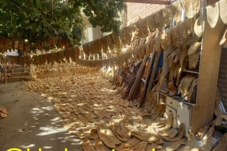 کشف دپوی غیرقانونی هزار قرص نان در منزل مسکونی اطراف اراک