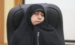 ۷۰ درصد تکالیف حوزه زنان و خانواده در برنامه هفتم اجرا نشده است