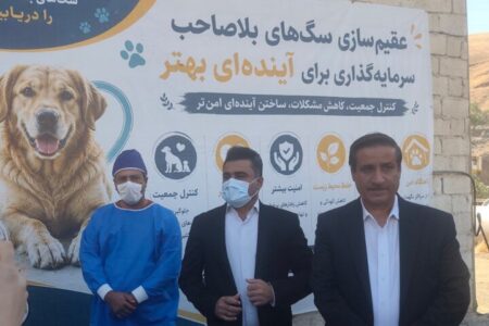 ۸۰۵ سگ در سنندج زنده گیری شد؛ لزوم آموزش شهروندان در مواجهه با سگ‌ها