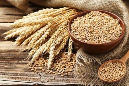 استرالیا در صدر صادرات جهانی جو؛ ایران در میان کشورهای دارای کسری تجاری