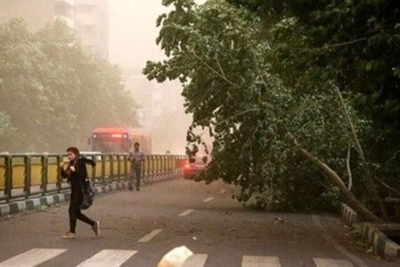باد شدید و گرد و خاک در تهران| رگبار در ارتفاعات