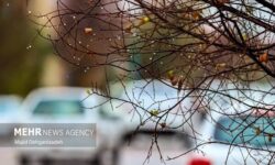 بارندگی های پاییز در خراسان جنوبی بیش از میانگین نرمال پیش‌بینی می‌شود
