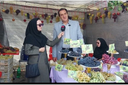 برداشت بیش از ۴۳ هزار تن انگور در مشگین‌شهر