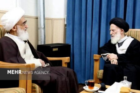 برگزاری بزرگداشت آیت‌الله شبیری‌زنجانی از سوی  آیت‌الله نوری‌همدانی