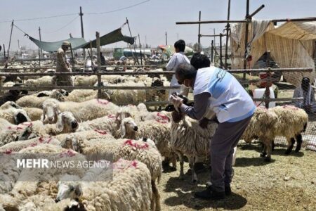 بهره‌مندی ۱۷ روستا از خدمات رایگان جهاد دامپزشکی در هفته دولت