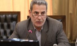 تشریح جزئیات قانون پشتیبانی از تولید کشاورزی