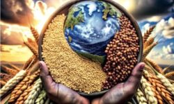 تولید جهانی غلات در مسیر بزرگترین افت از سال۲۰۱۸؛ دریای سیاه همچنان تهدید اصلی بازار