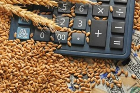 خرید گندم توسط دلالان تا ۶۰ هزار تومان در مناطق مرزی