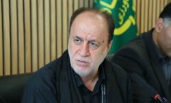 دولت در پرداخت مطالبات گندم‌کاران تسریع کند