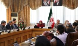 رمضانخواه: دولت به دنبال جانشینی بازآفرینی به‌جای بازسازی است