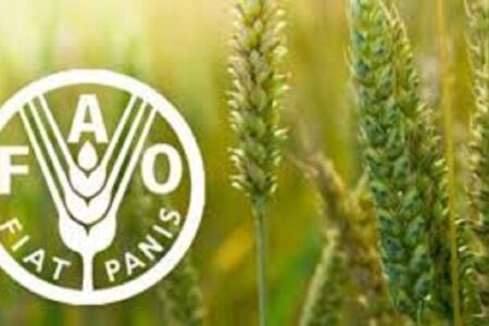 شاخص قیمت جهانی مواد غذایی در مسیر صعود؛ شکر پیشتاز گرانی
