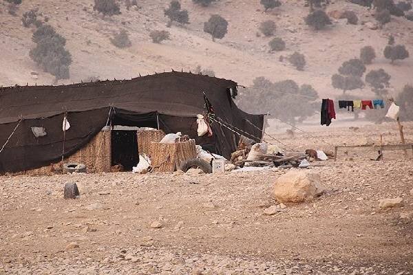 «عشایر در برزخ کوچ و یکجانشینی»؛ فرهنگی که نه زنده مانده نه فراموش شده