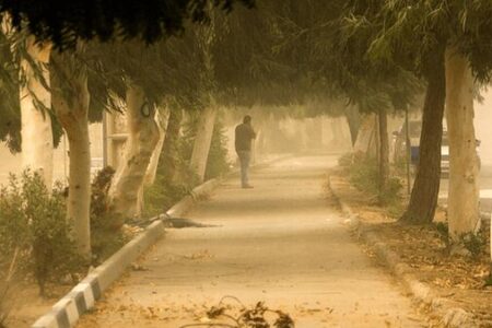 هواشناسی تهران: وزش باد شدید و گردوخاک تا شنبه ادامه دارد