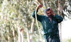 وقوع رطوبت ۸۲ درصدی در هوای خوزستان
