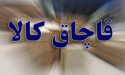 کشف ۳۵ پرونده قاچاق در مرز مهران طی سال جاری