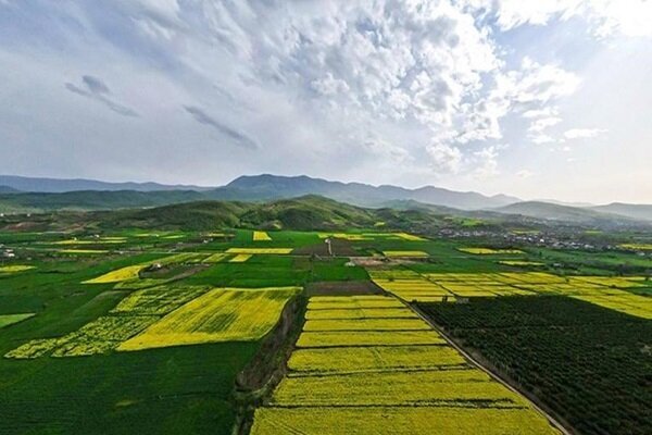 گذار از معیشت به ثروت؛ نسخه «مزارع الگویی»برای مهار هدررفت آب در ایلام