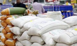 کاهش واردات برنج و تشدید فشار ارزی؛ زنگ خطر کمبود در نیمه دوم سال